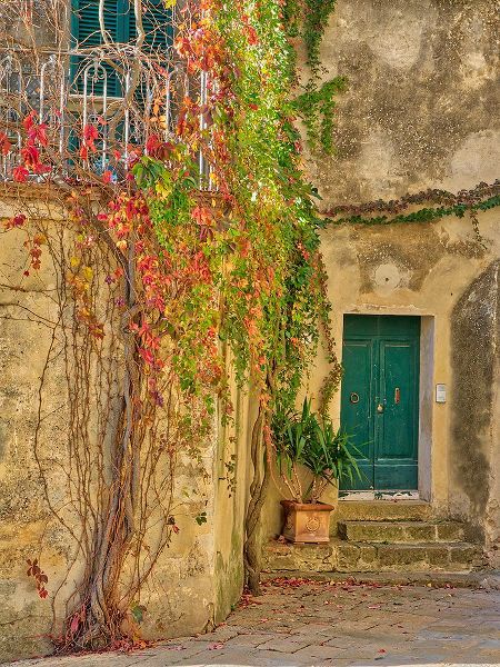 Eggers, Julie 아티스트의 Italy-Tuscany-Monticchiello Red ivy covering the walls of the buildings작품입니다.